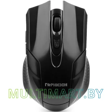 Мышь Гарнизон GMW-410